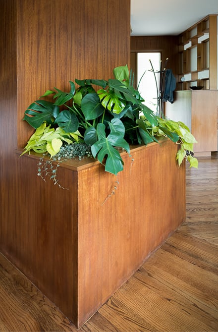 Detail shot of built-in planter in midcentury modern foyer in Portland, Oregon