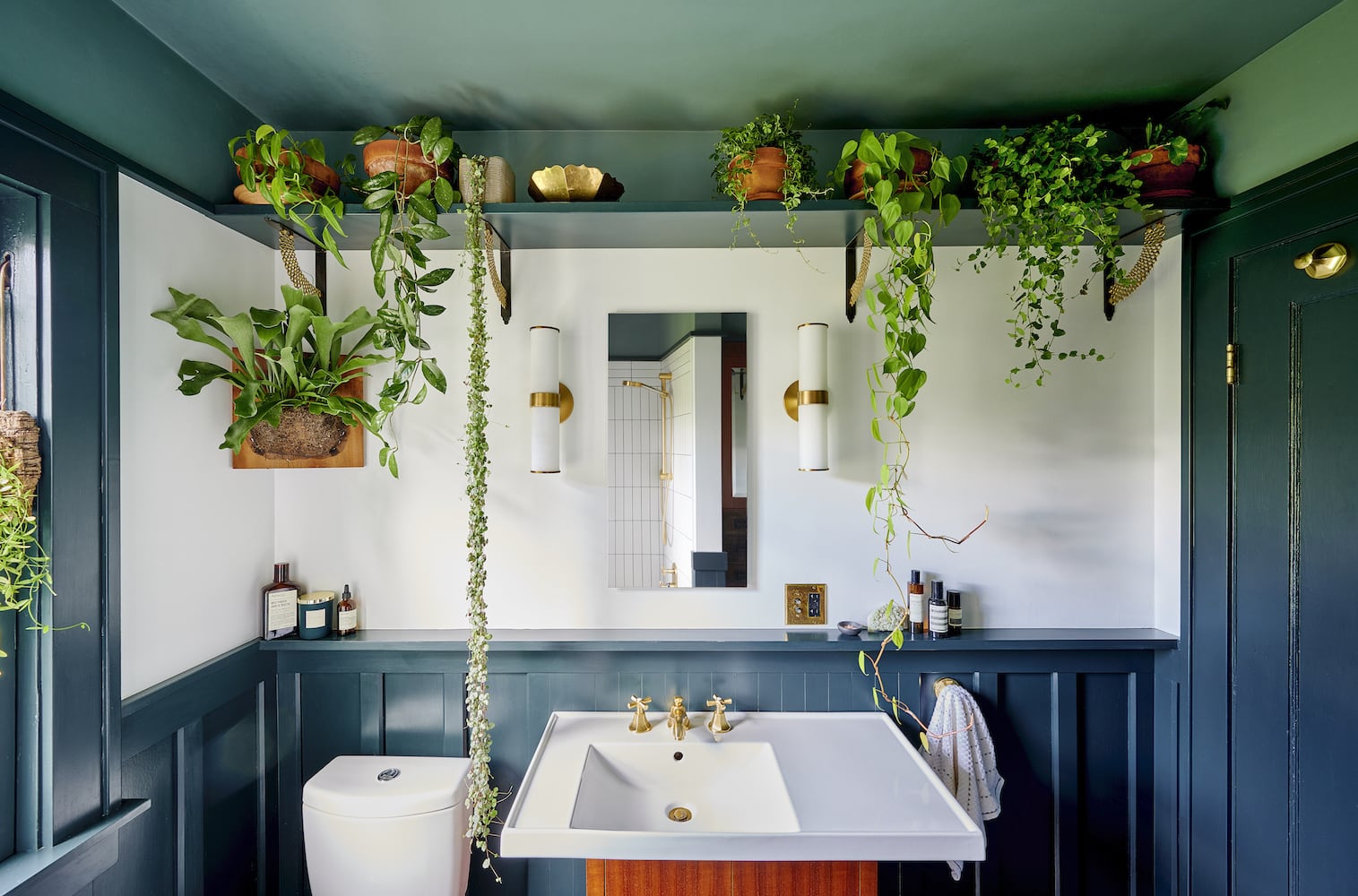 Portland bathroom with hanging plant shelf, green painted wainscot paneling