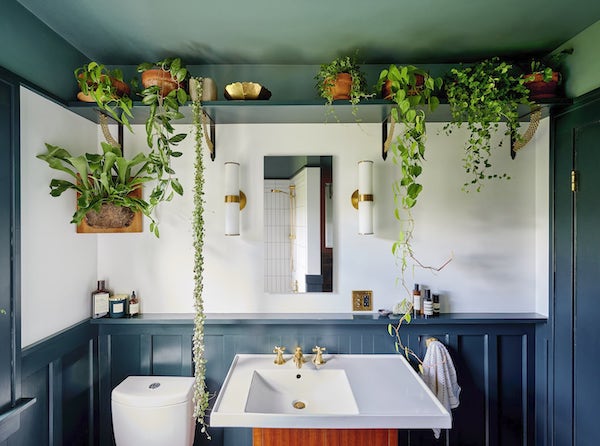 Portland bathroom with hanging plant shelf, green painted wainscot paneling