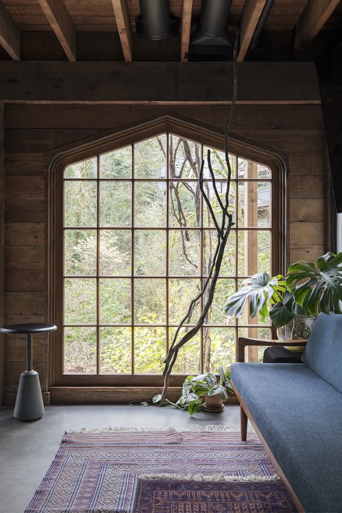 Detail of original architecture window framing looking into Portland forest, plants