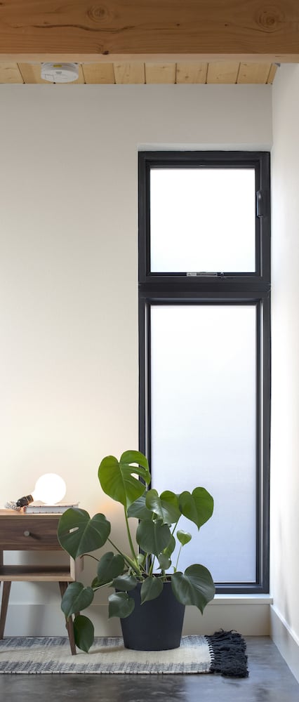 Frosted glass window in modern ADU with gray rug, monstera plant and oak side table