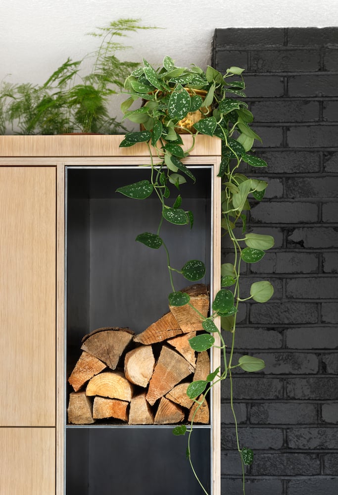 Custom designed cabinet detail at black fireplace with firewood and trailing plant