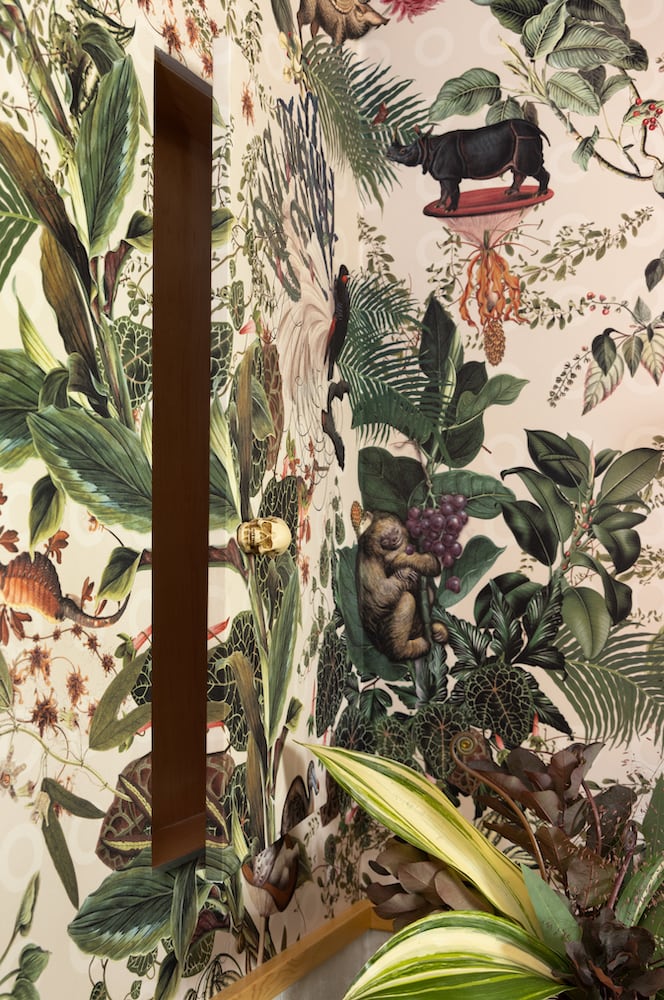 A hidden medicine cabinet is opened by a metal skull pull amongst the tropical wallpaper